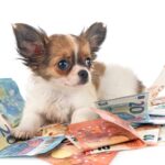 Tips for saving money